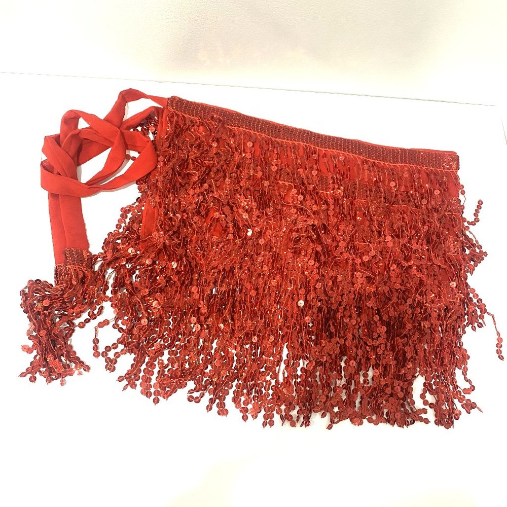 Victray Women Belly Dance Skirt Fringe Sparkly Sequin Hip Scarf Party Costume